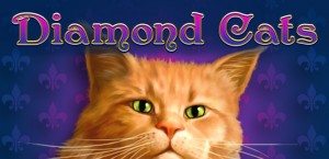 Diamond Cats