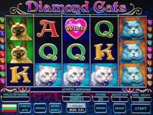 Game Diamond Cats